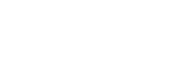 Southte Partner logo